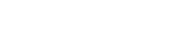 Business Fibra Power